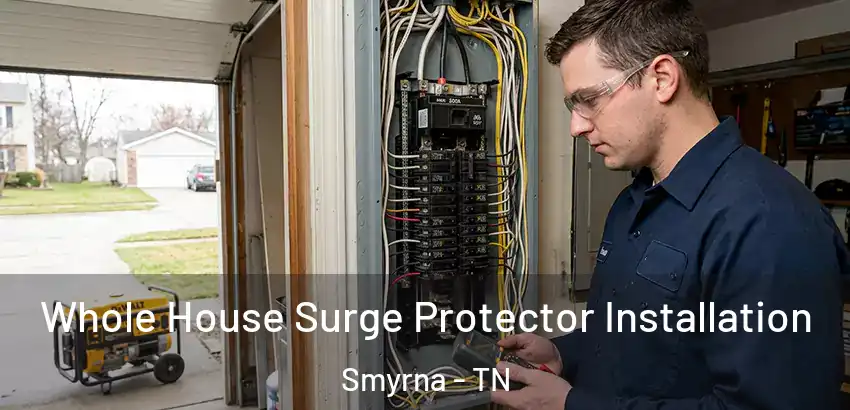  Whole House Surge Protector Installation Smyrna - TN